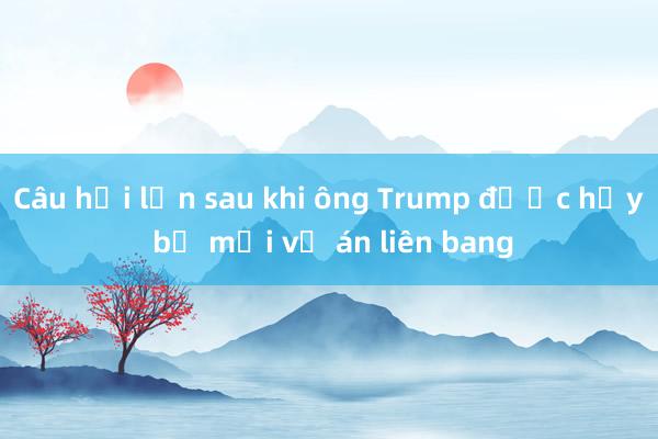 Câu hỏi lớn sau khi ông Trump được hủy bỏ mọi vụ án liên bang