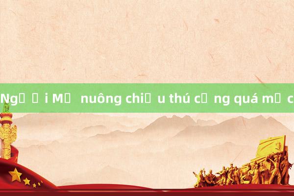 Người Mỹ nuông chiều thú cưng quá mức