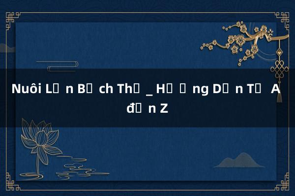 Nuôi Lợn Bạch Thử_ Hướng Dẫn Từ A đến Z