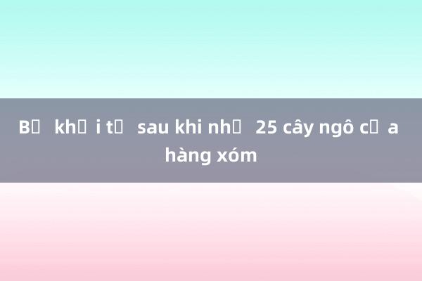 Bị khởi tố sau khi nhổ 25 cây ngô của hàng xóm