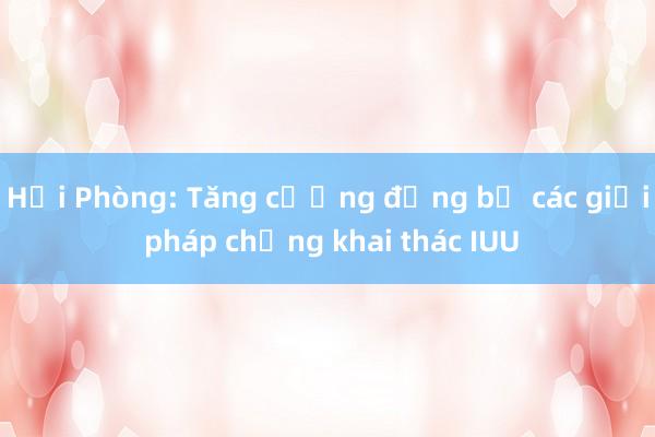 Hải Phòng: Tăng cường đồng bộ các giải pháp chống khai thác IUU