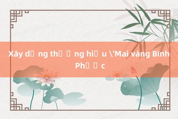 Xây dựng thương hiệu 'Mai vàng Bình Phước