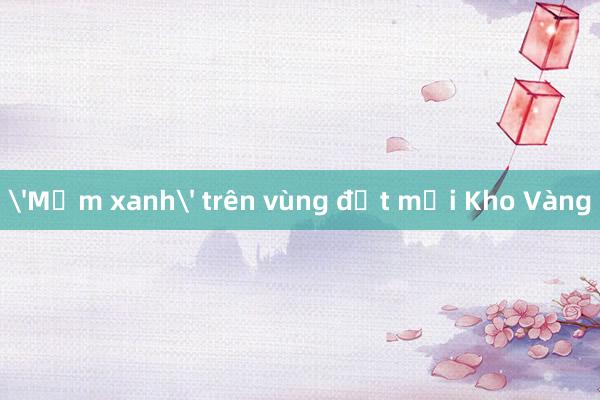 'Mầm xanh' trên vùng đất mới Kho Vàng