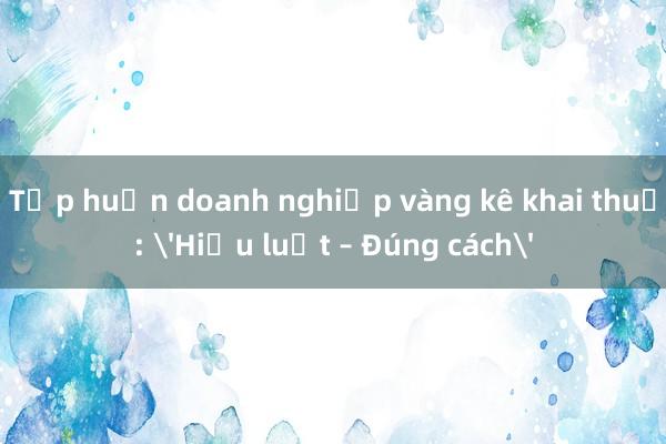 Tập huấn doanh nghiệp vàng kê khai thuế: 'Hiểu luật – Đúng cách'