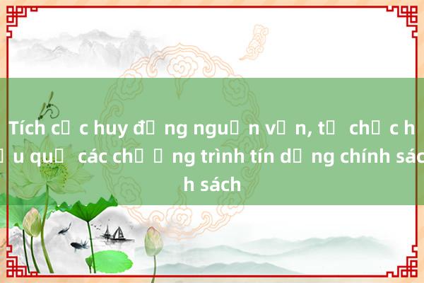 Tích cực huy động nguồn vốn， tổ chức hiệu quả các chương trình tín dụng chính sách