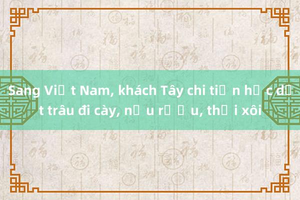 Sang Việt Nam， khách Tây chi tiền học dắt trâu đi cày， nấu rượu， thổi xôi