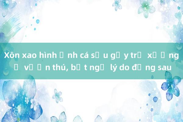 Xôn xao hình ảnh cá sấu gầy trơ xương ở vườn thú， bất ngờ lý do đằng sau