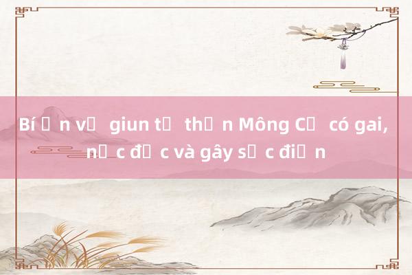 Bí ẩn về giun tử thần Mông Cổ có gai, nọc độc và gây sốc điện