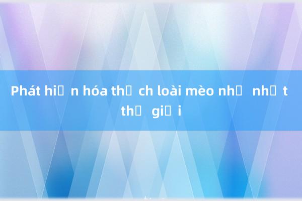 Phát hiện hóa thạch loài mèo nhỏ nhất thế giới